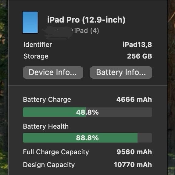 iPad Pro 12.9インチ 第5世代 M1 256GB Wi-Fiモデル