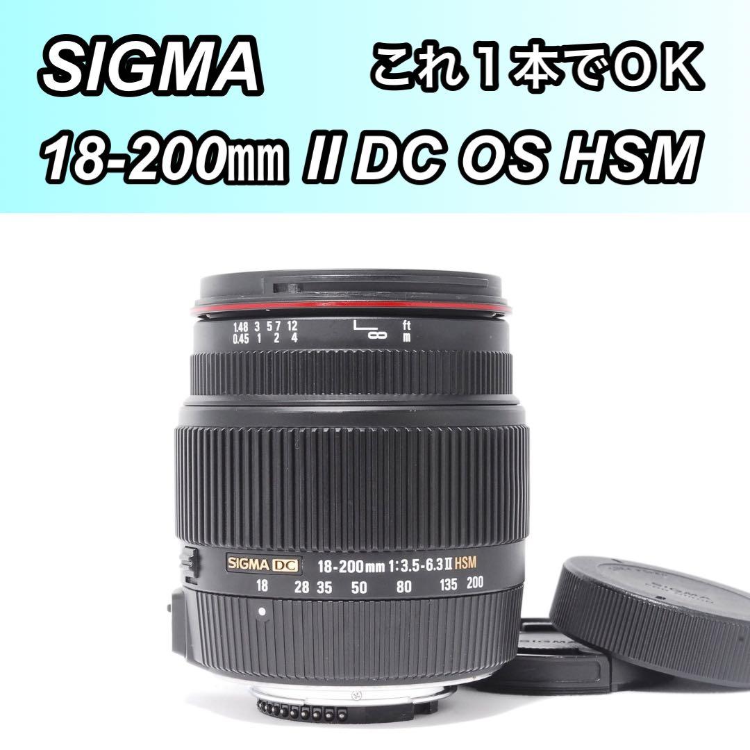 万能レンズ✨SIGMA 18-200mm Ⅱ DC OS HSM Nikon用