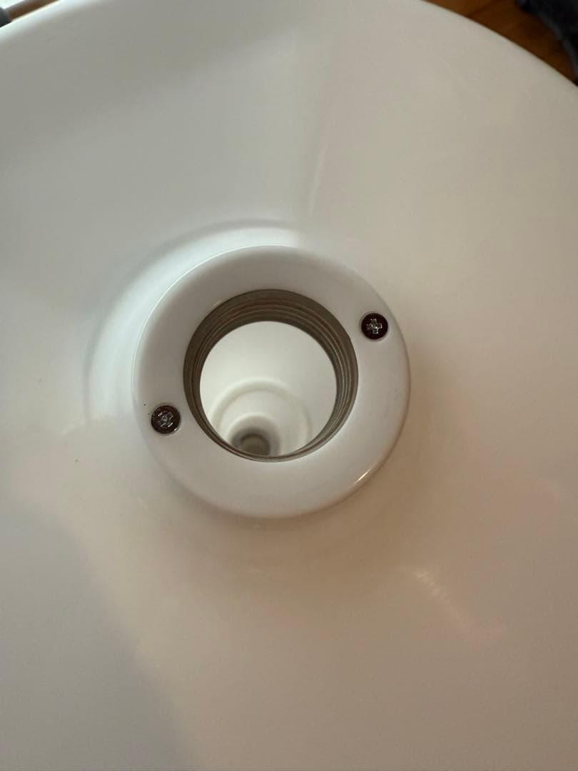 E&Y ポール・デイリー LOW YOYO 3連ライト