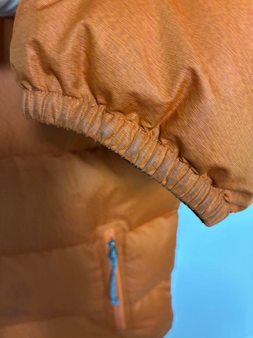 廃盤 00's patagonia インサレーショングースダウン オレンジ