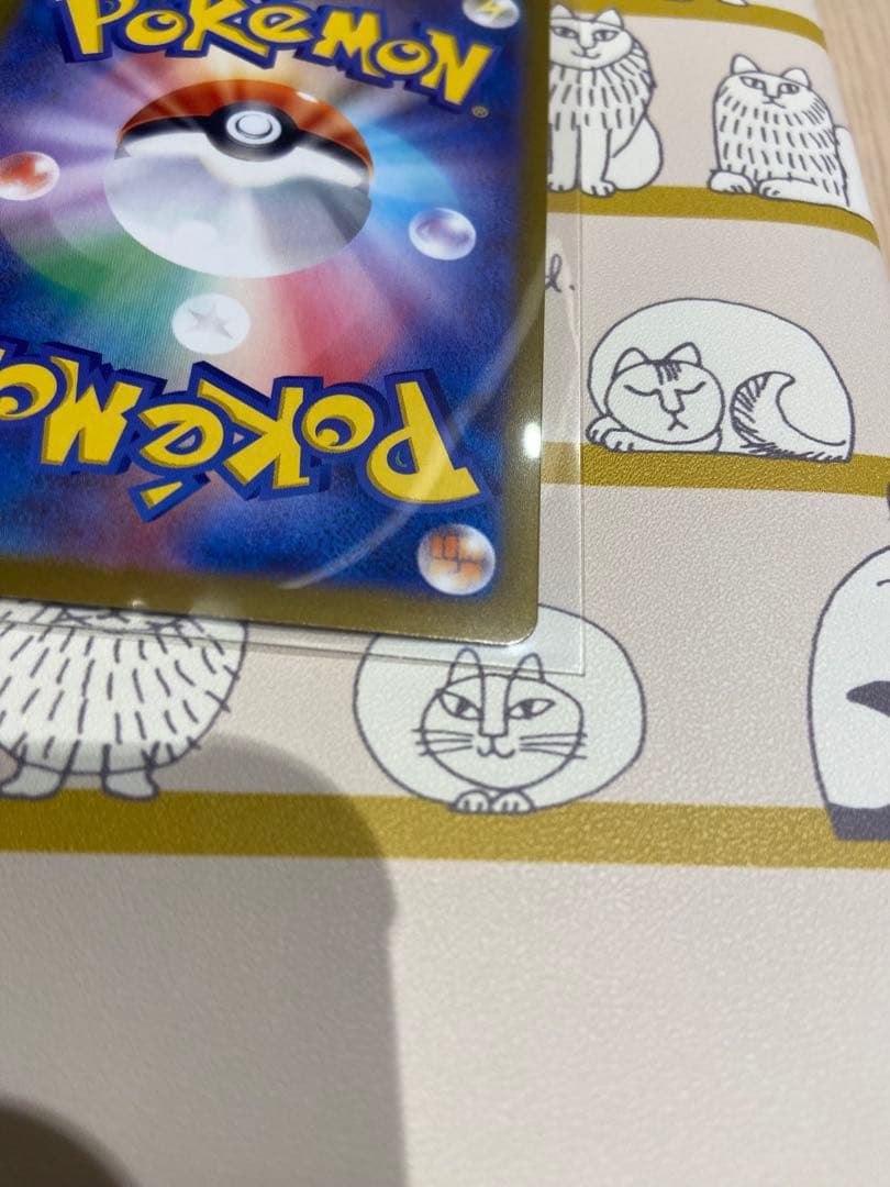 メイのはげまし SAR