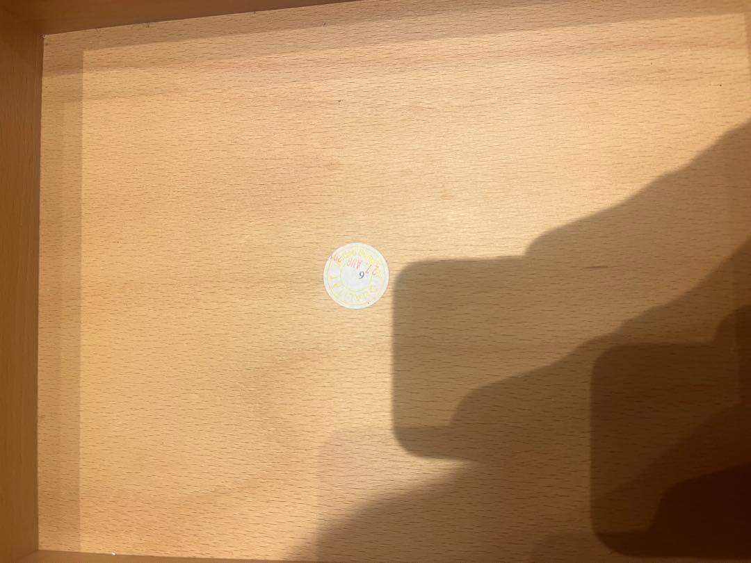 デュシマ社　ドイツ　積み木　知育玩具　フレーベル　ジグザグ