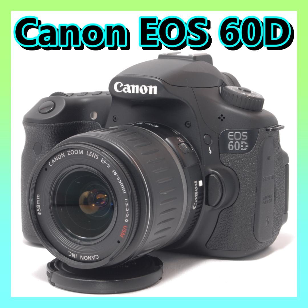 ⭐️素早いピント合わせ⭐️Canon EOS 60D キャノン　デジタル一眼