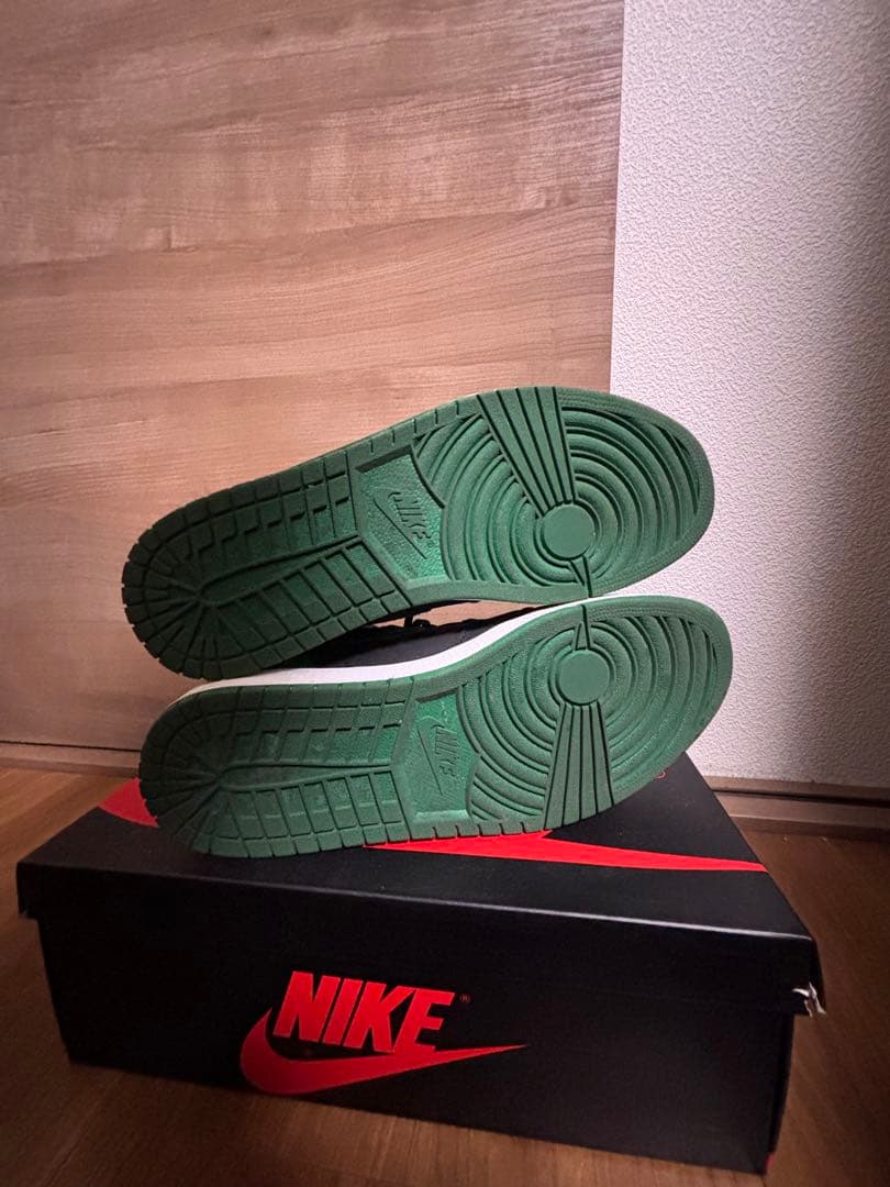 Nike Air Jordan 1 パイングリーン　30cm