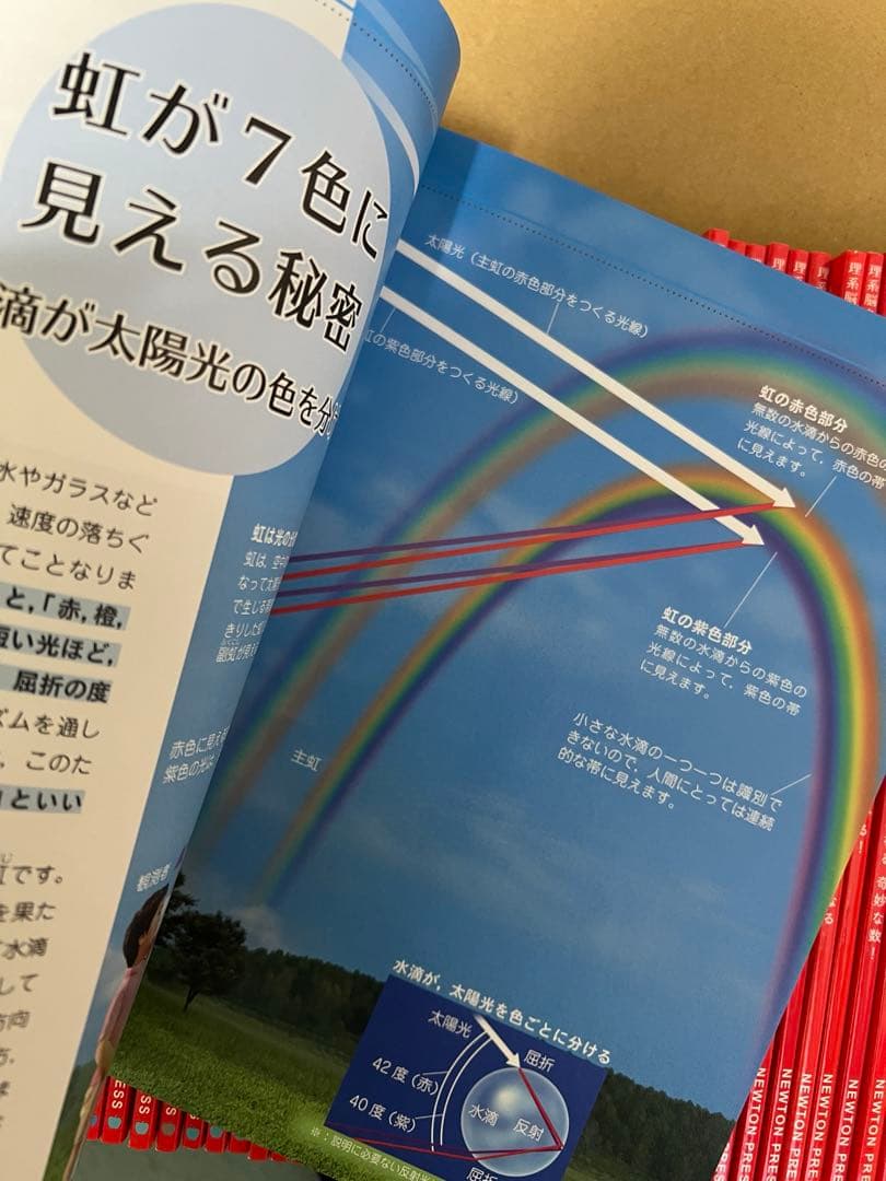 newton ライト　45冊