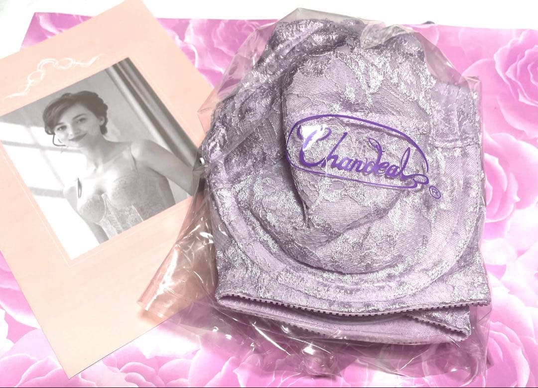 新品未使用シャンデールピエゾメッシュ（ベル）ブラジャーE70