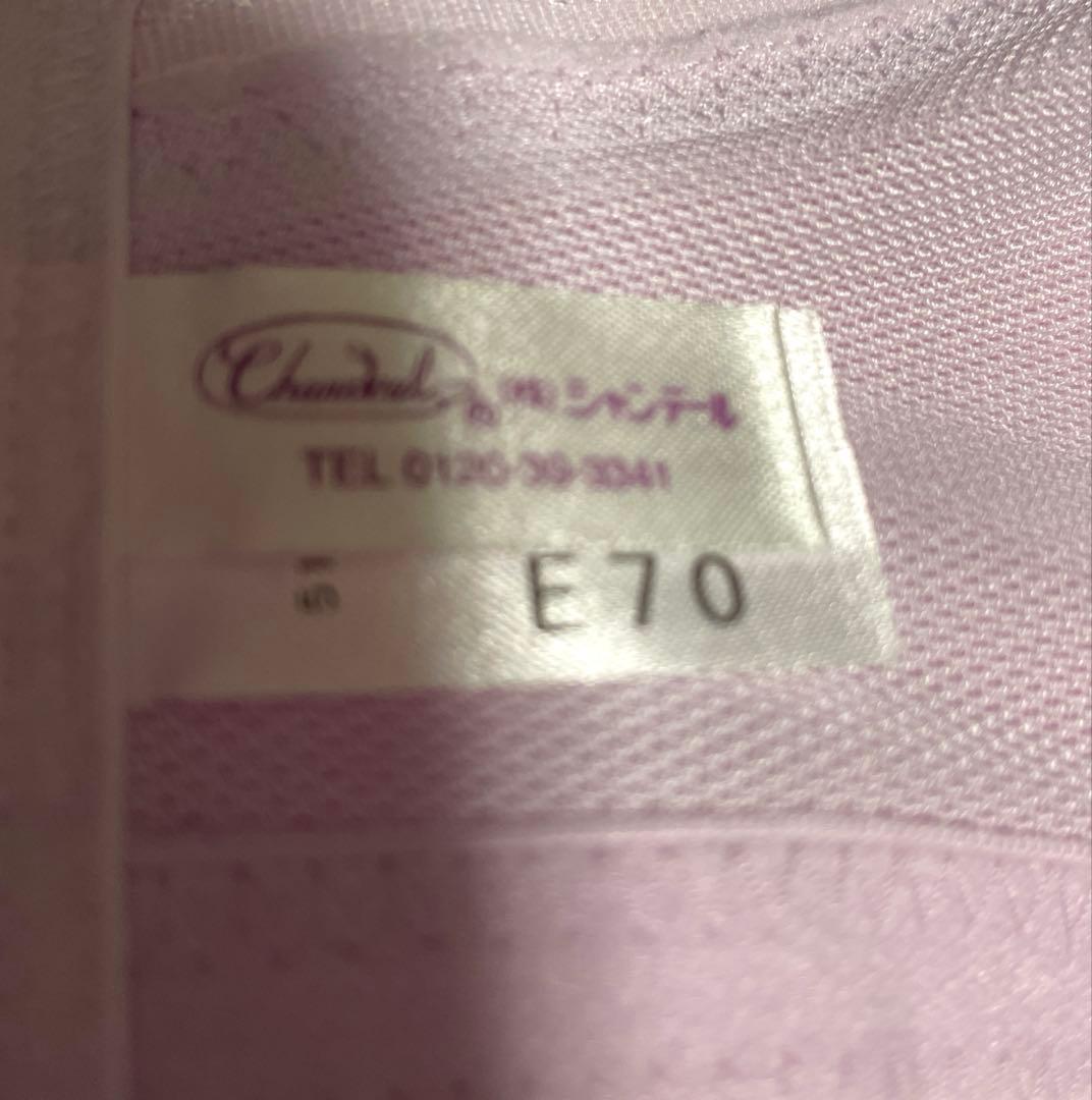 新品未使用シャンデールピエゾメッシュ（ベル）ブラジャーE70