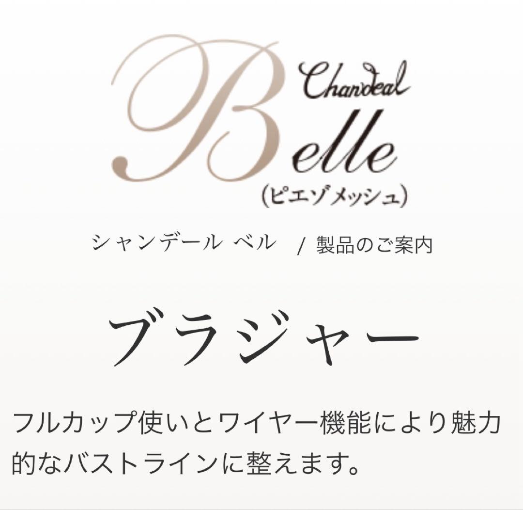 新品未使用シャンデールピエゾメッシュ（ベル）ブラジャーE70