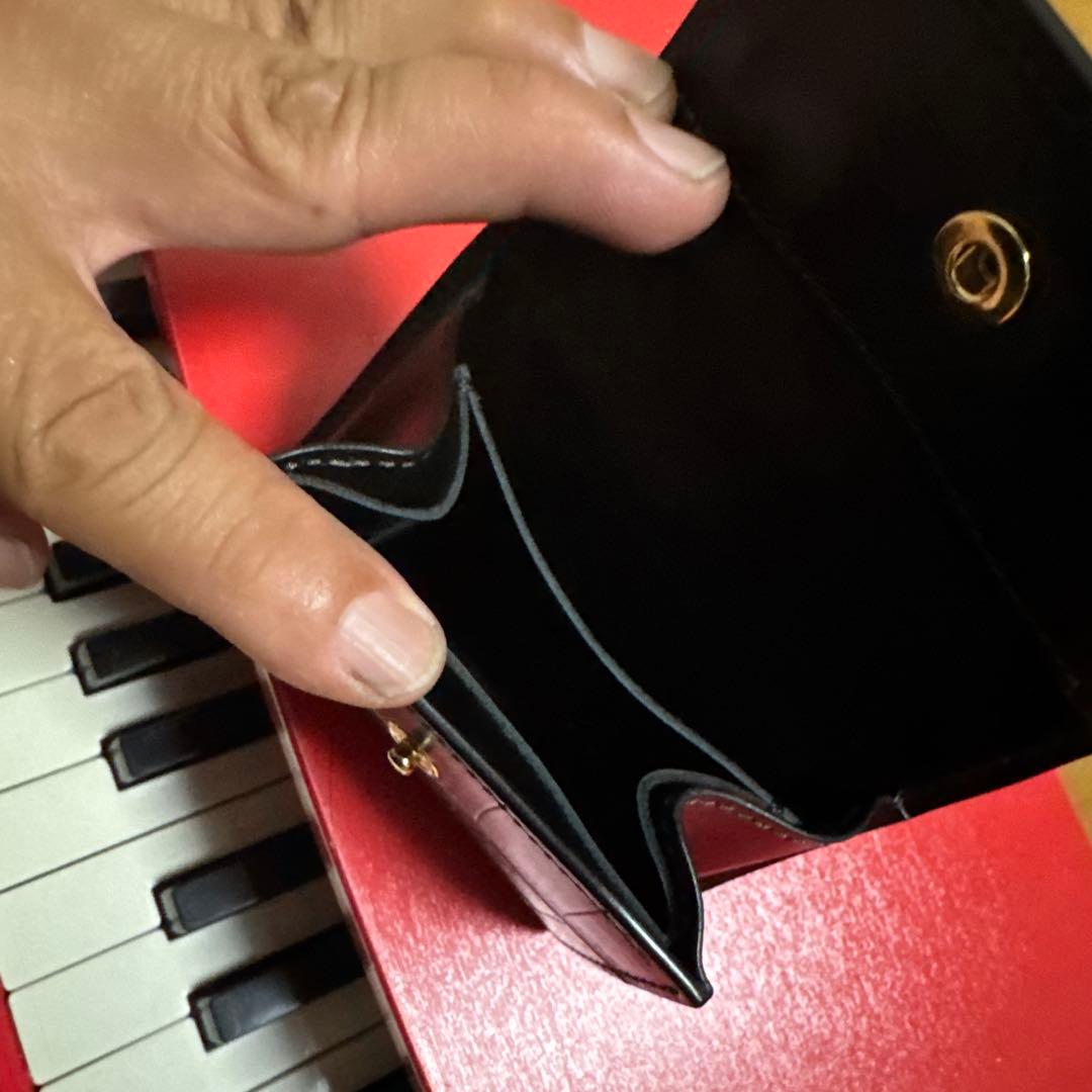 ワイルドスワンズ　　クロコ　アーサー