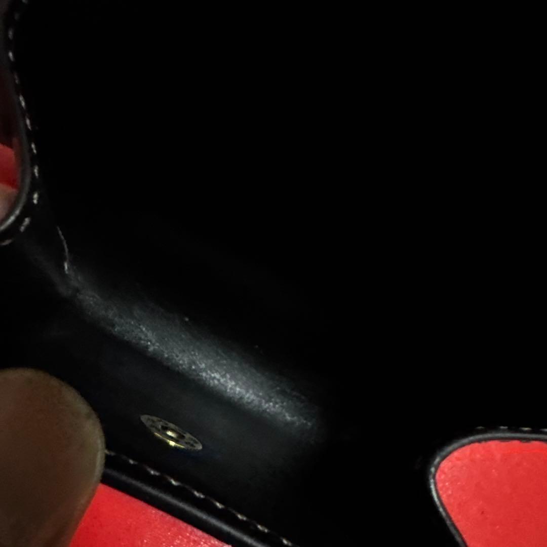 ワイルドスワンズ　　クロコ　アーサー