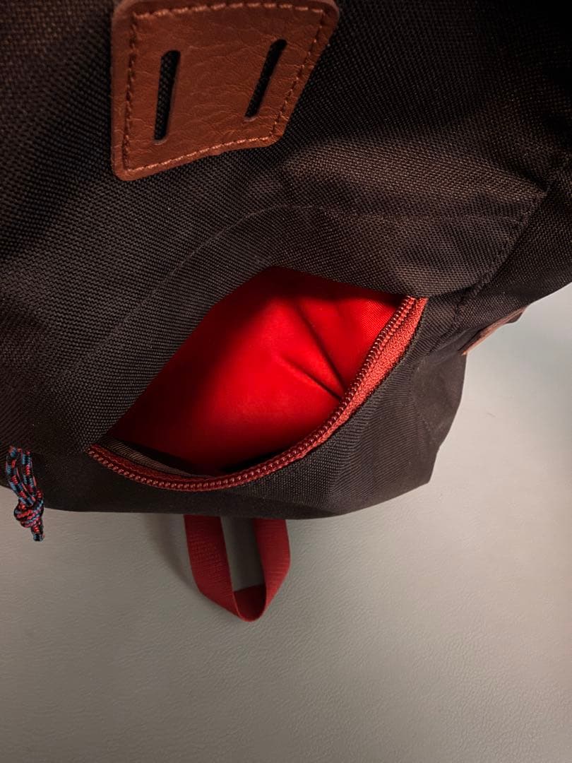 【極美品】パタゴニア アーバー・デイパックArbor Day Pack 20L