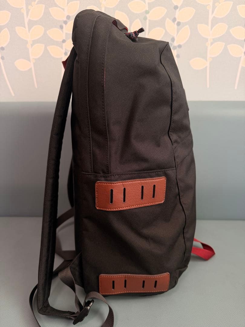 【極美品】パタゴニア アーバー・デイパックArbor Day Pack 20L