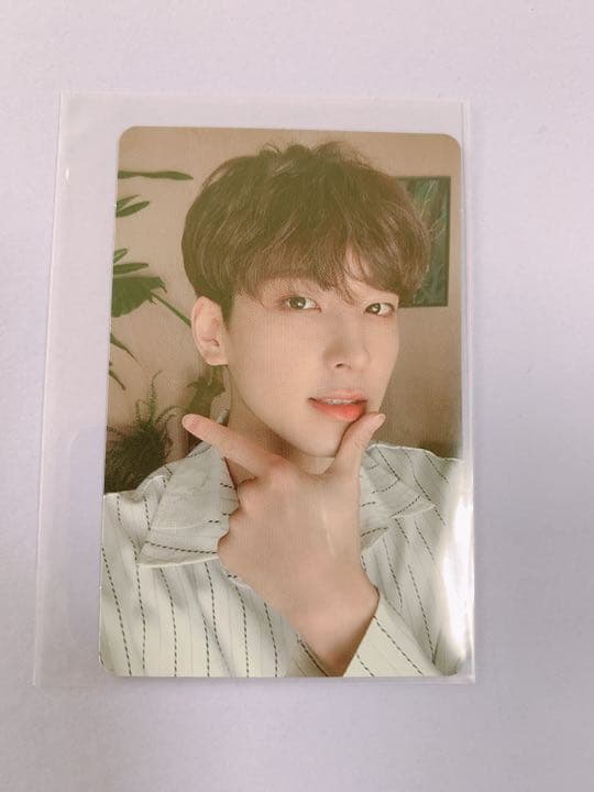 SEVENTEEN Happy Ending CARAT盤　トレカ　ウォヌ