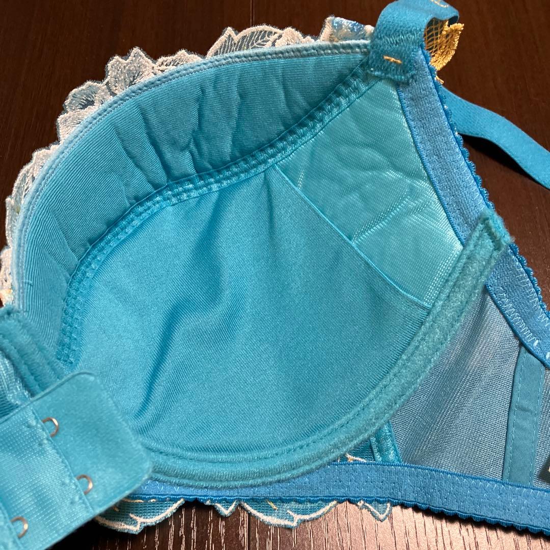 ワコール　サルート　H65