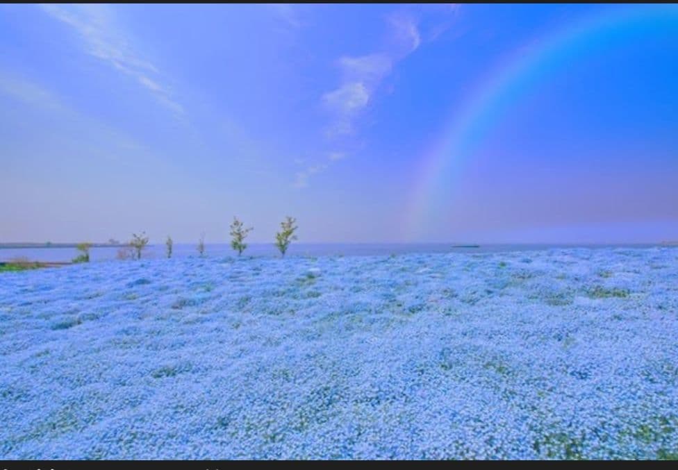 SIGMA シグマ DG OS 150-500 F5-6.3 NIKON