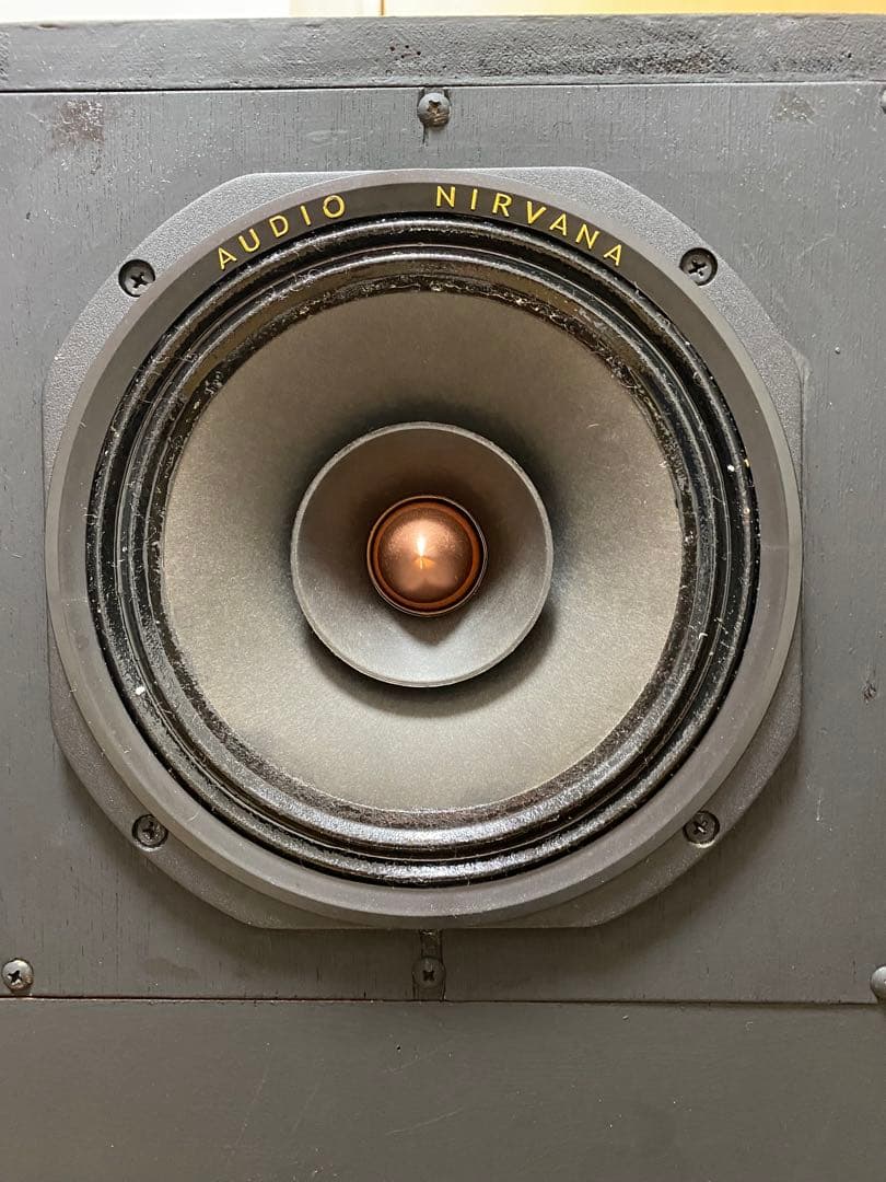Audio Nirvana super 8 フルレンジスピーカー 1個目