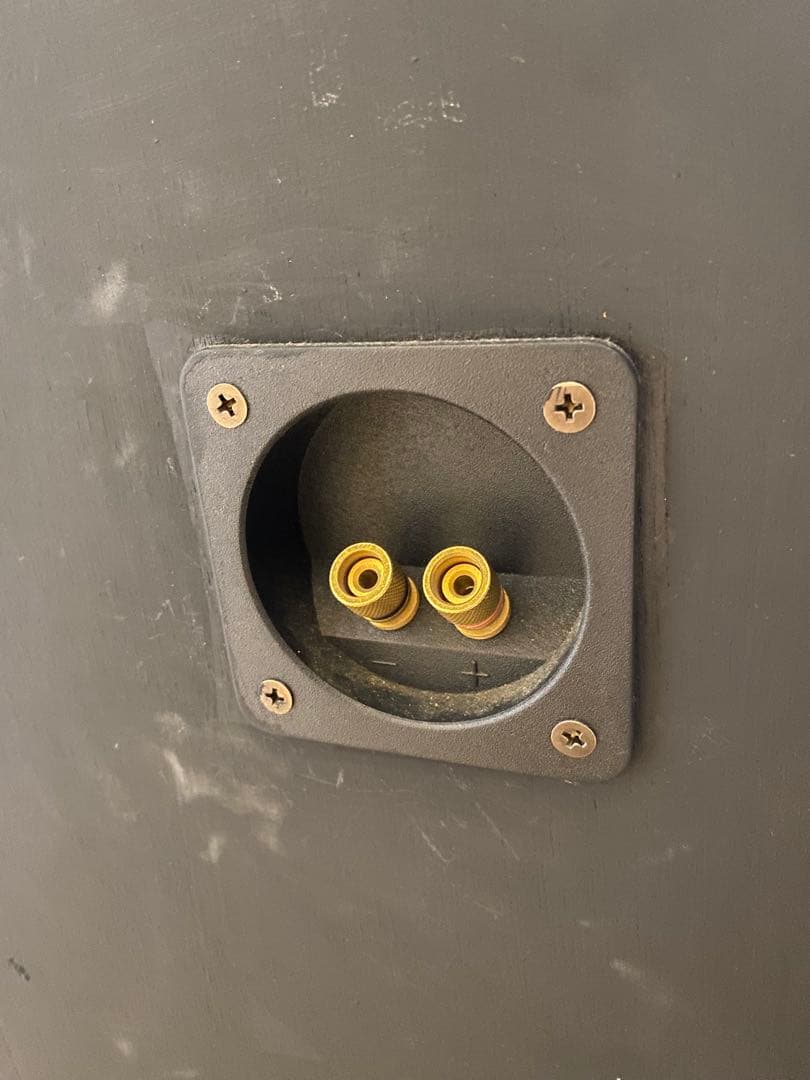 Audio Nirvana super 8 フルレンジスピーカー 1個目