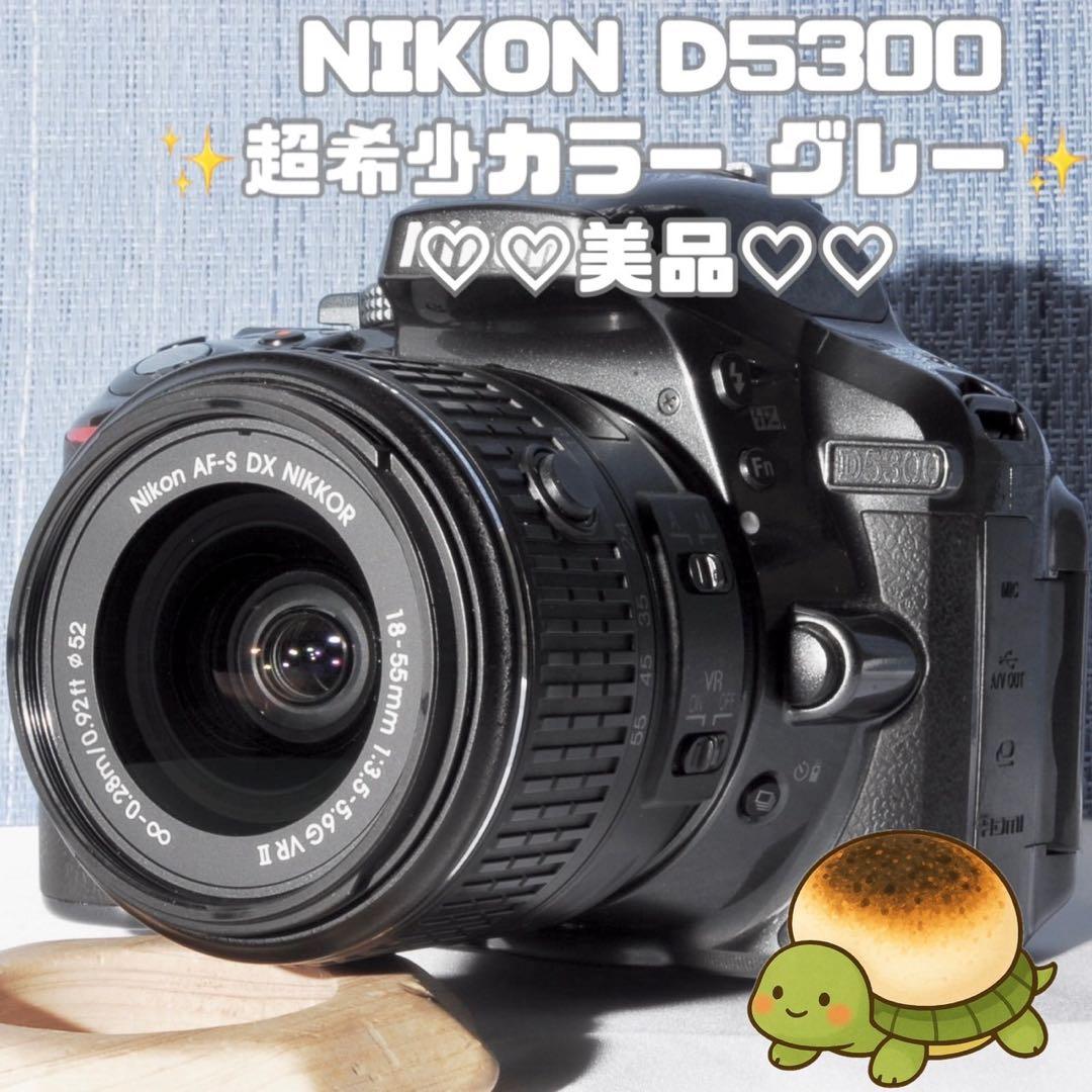 ✨Wi-Fi搭載モデル！激レアカラー✨グレー✨D5300 レンズキット✨