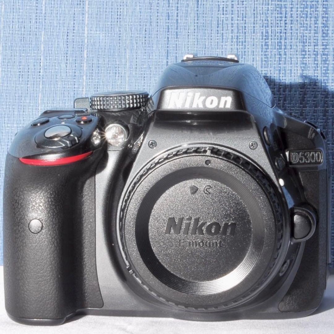 ✨Wi-Fi搭載モデル！激レアカラー✨グレー✨D5300 レンズキット✨