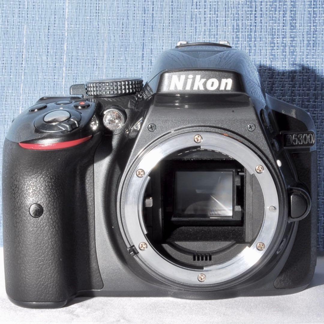 ✨Wi-Fi搭載モデル！激レアカラー✨グレー✨D5300 レンズキット✨