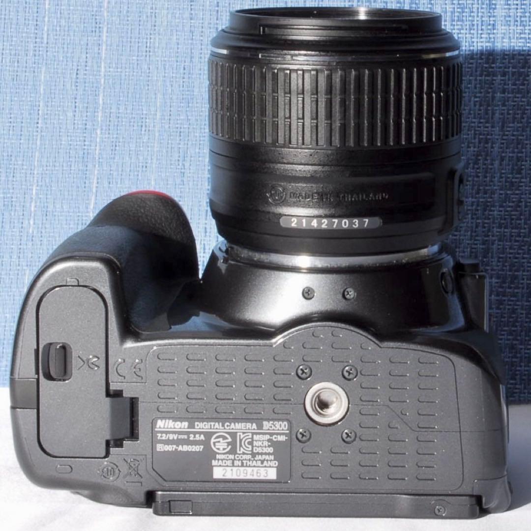 ✨Wi-Fi搭載モデル！激レアカラー✨グレー✨D5300 レンズキット✨