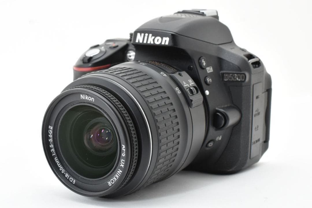 【大人気】 Nikon ニコン D5300 レンズセット デジタル一眼カメラ