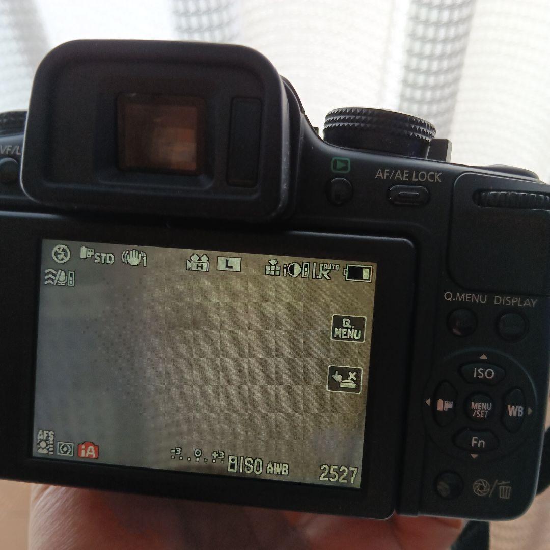 LUMIX G2 ミラーレス一眼カメラ ボディのみ