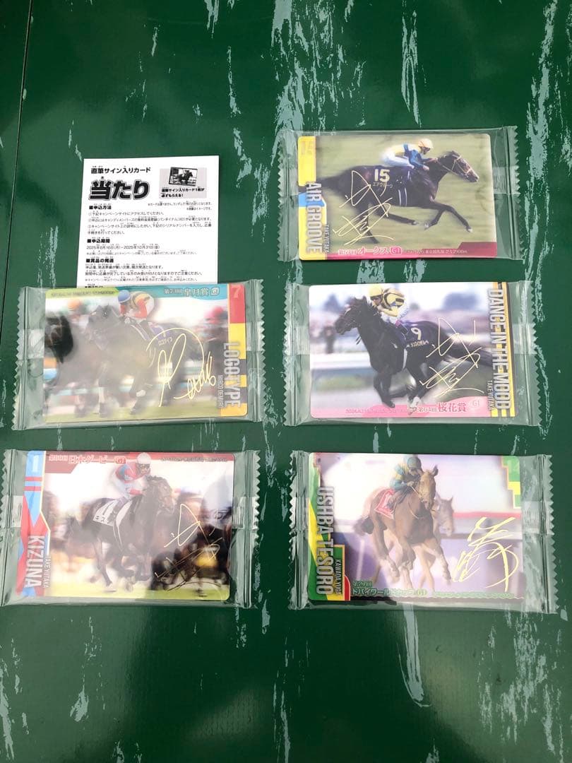 y*i様 サラブレッドホースコレクション　当たり券 おまけ