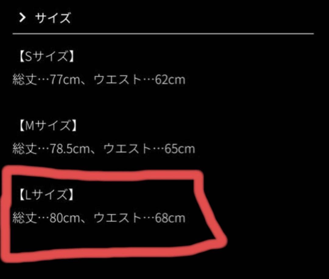 20時迄値下げ　 新品　JENNE 総刺繍BOXタックスカート　Ｌsize