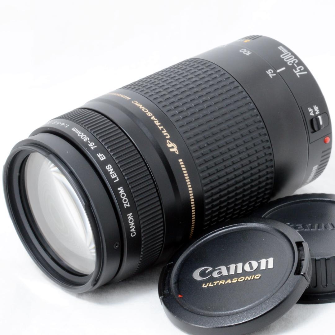 ⭐️美品⭐️Canon キャノン EF 75-300mm F4-5.6 ⅡUSM