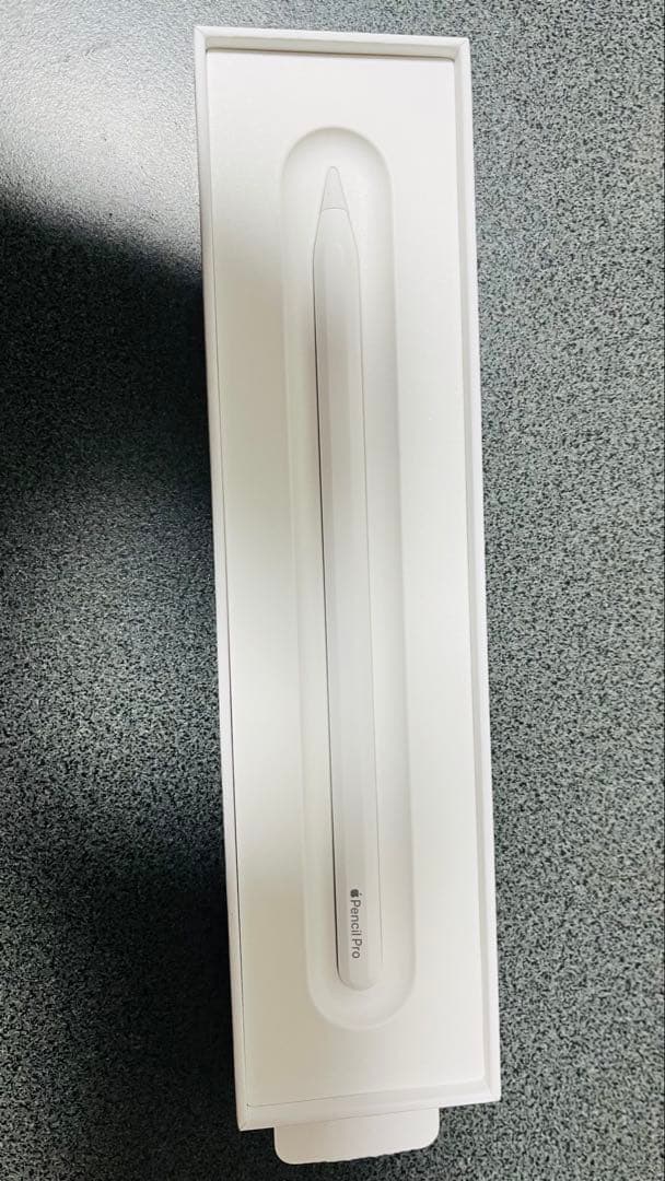 iPadPro 11インチ（M4）本体・ケース・Apple Pencilセット