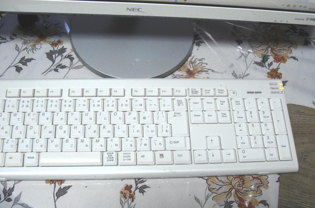 ツッチー★WIN11搭載NECデスクトップ一体型パソコンPC-GD254U