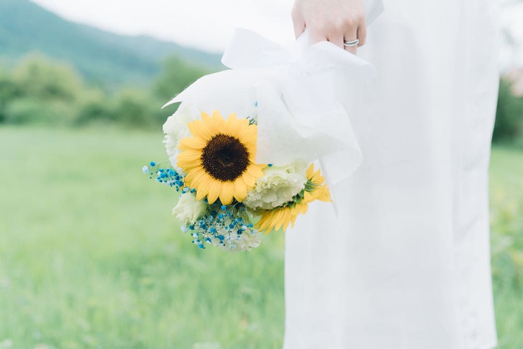 【作例あり】Carl Zeiss Batis 2/40 40mm F2.0