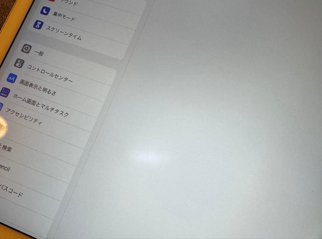 Apple iPad Pro 12.9インチ 128GB バッテリー91%