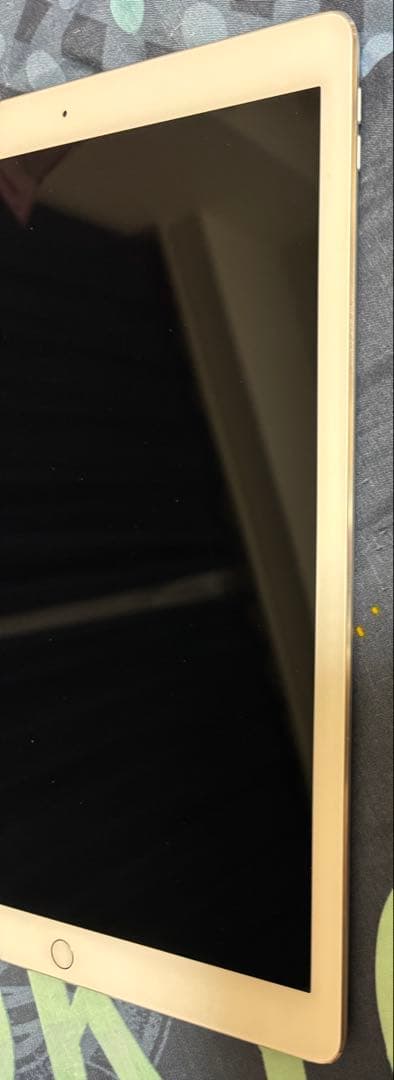 Apple iPad Pro 12.9インチ 128GB バッテリー91%