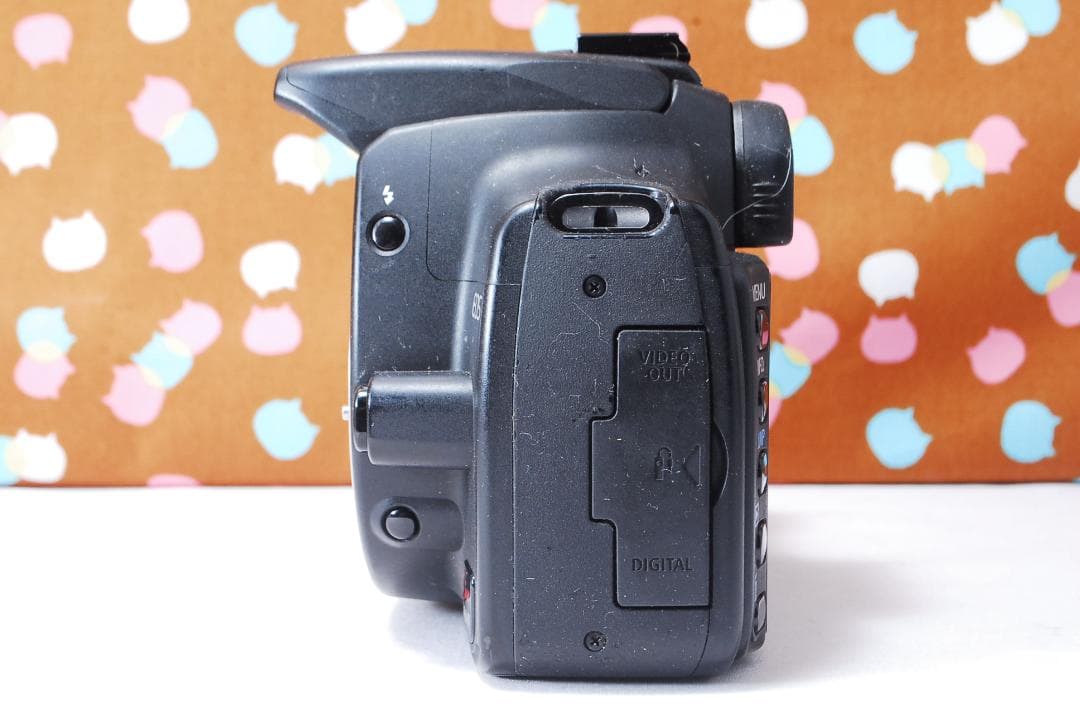 ✨ストロボセット✨Canon Kiss Digital N レンズセット