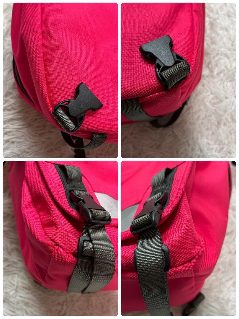 希少色✨パタゴニア ショルダーバッグ メッセンジャー リフレクター 大人気モデル