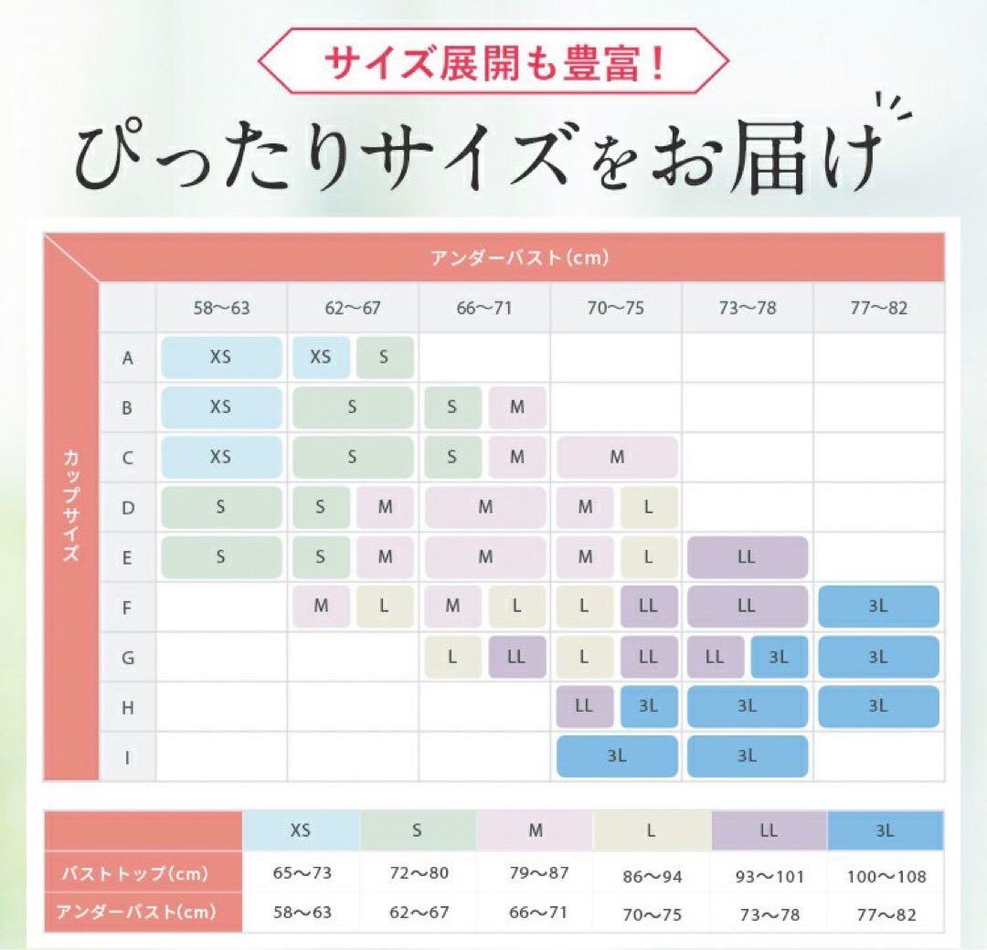 PGブラ 益若つばさ ナイトブラ　ホワイト ブラック　LL