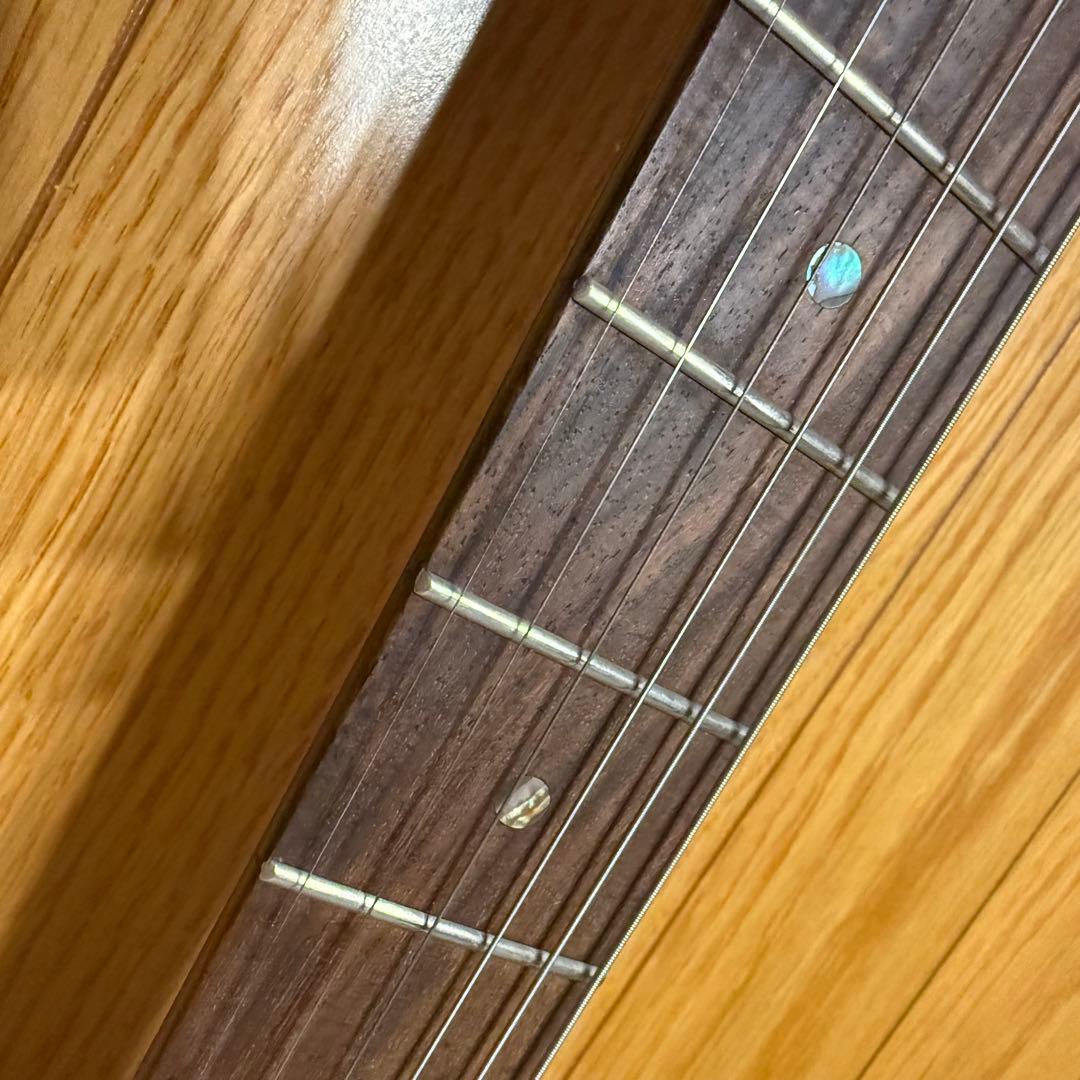 Bacchus / TACTICS バッカス テレキャスター