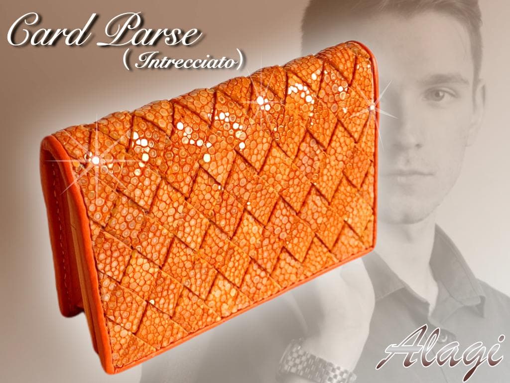 ☆まれ☆ガルーシャ　名刺入れ　イントレチャート加工　2点セット