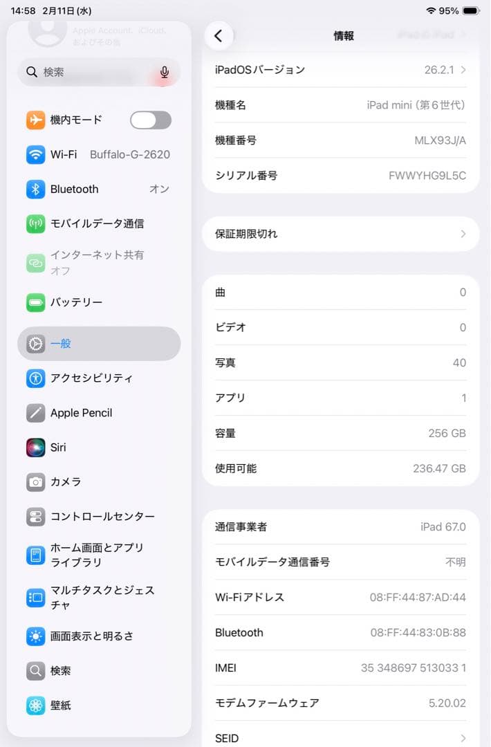 iPad mini第六世代 256GB ピンク Wi-Fi + cellular