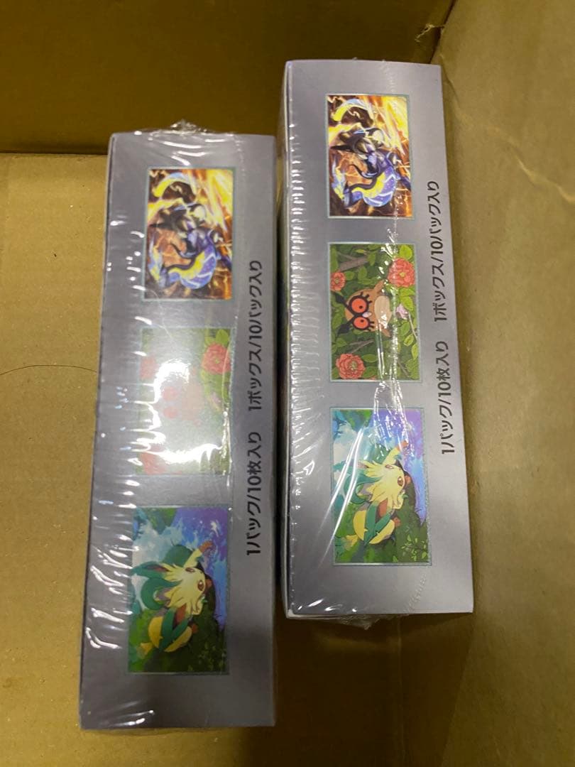 ポケモンカード テラスタルフェスEX 2BOX シュリンク付き