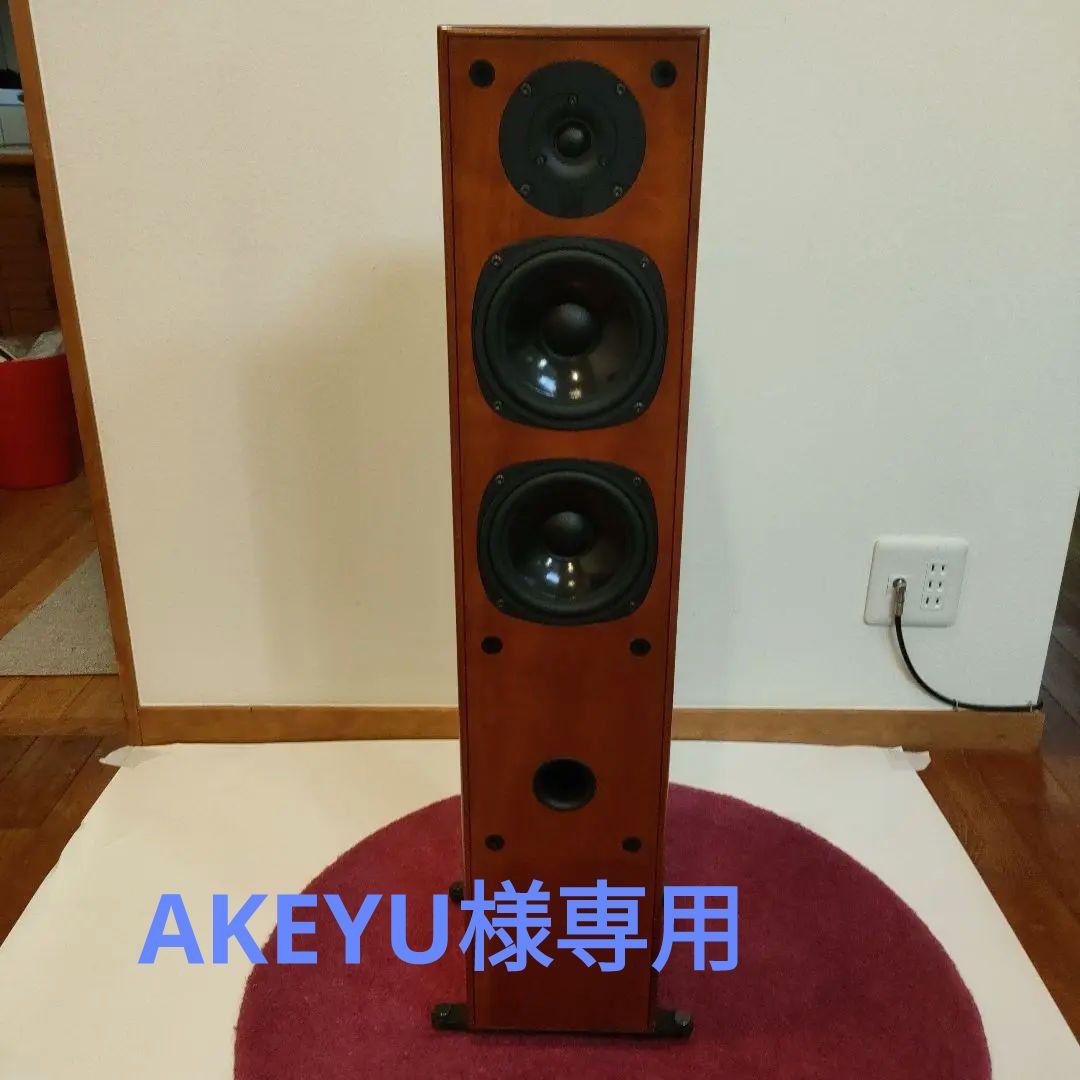 DALI ダリ スピーカー  TOWER ペア 美品