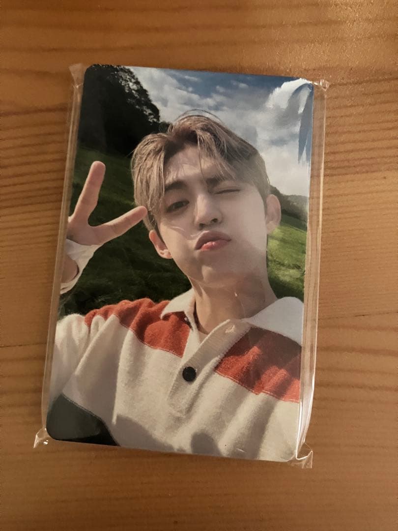 SEVENTEEN 消費期限 Weverse 東京ドーム　会場限定　13枚セット