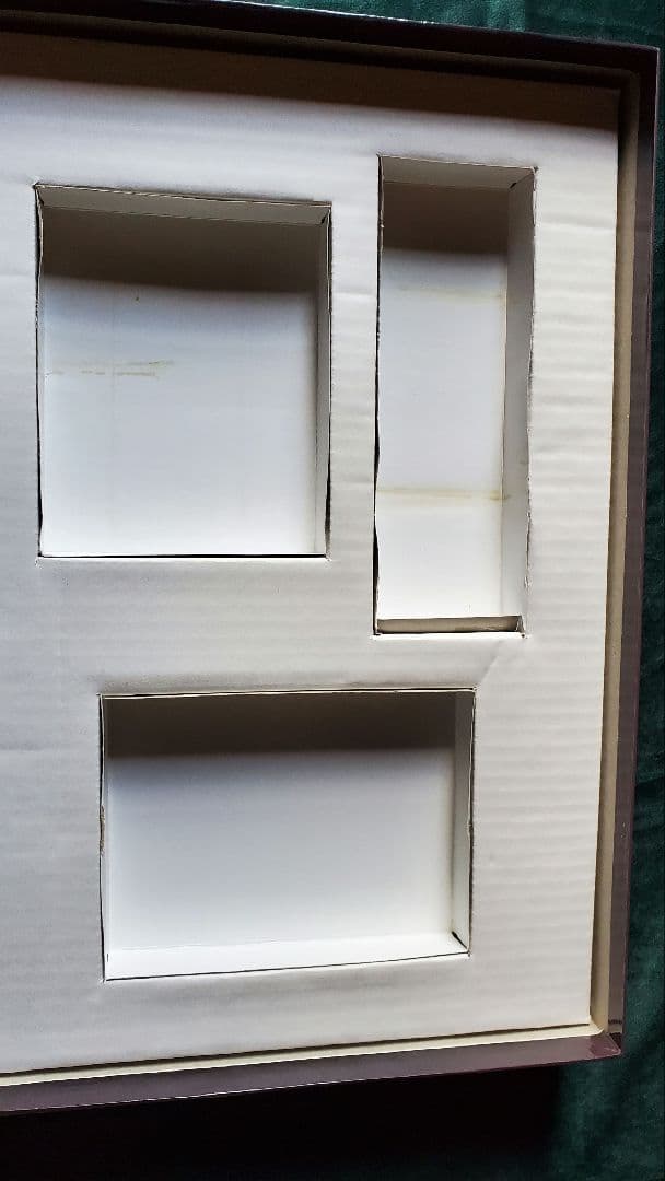 【ゆきみ】キャッシュフロー101 日本語版　Cashflow101