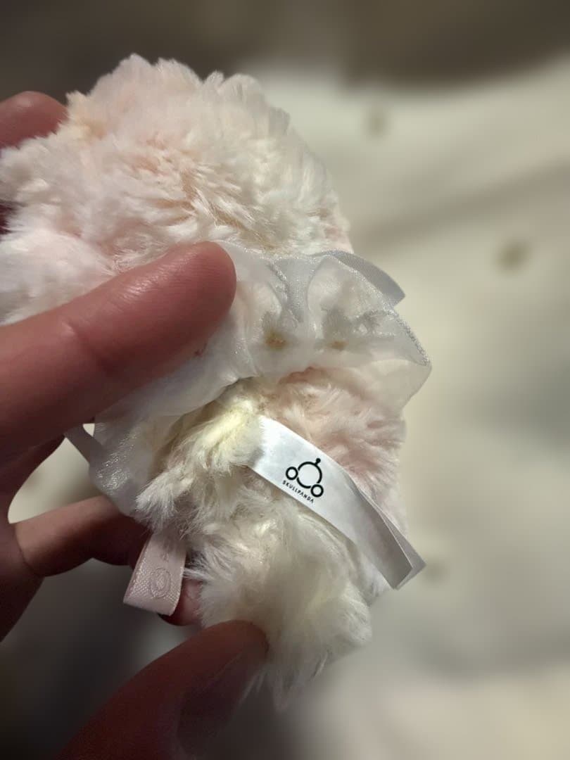 SKULLPANDA L'impressionnisme シークレット