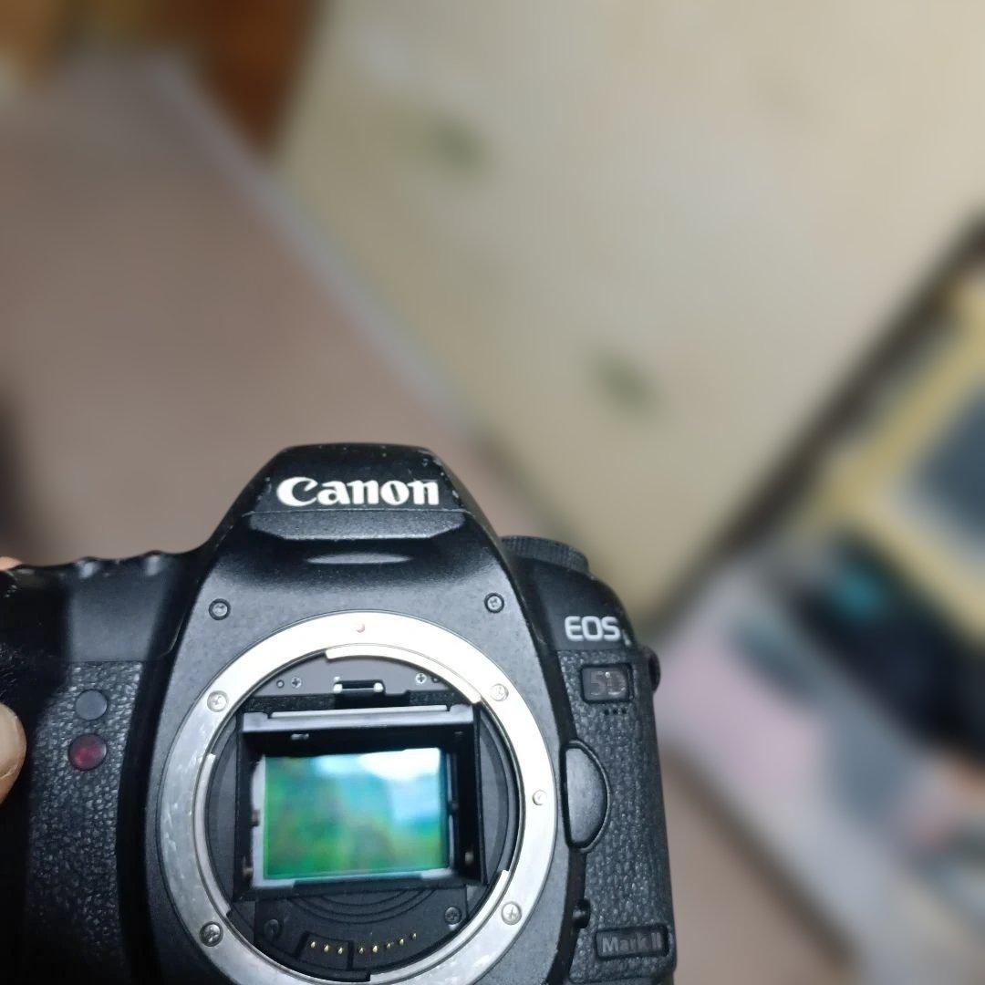 Canon EOS 5D MARK Ⅱ デジタル一眼レフ 本体