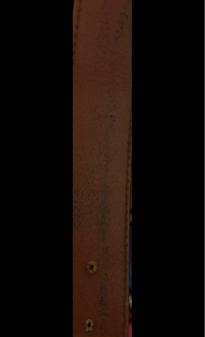 flexwitmeベルト　DAB着用