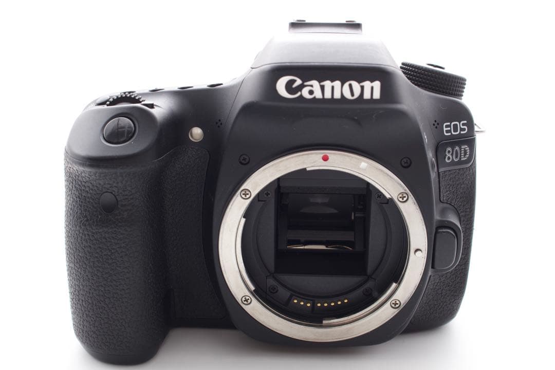 高速連写✨Canon EOS 80D ダブルレンズ　手ぶれ補正　Wi-Fi