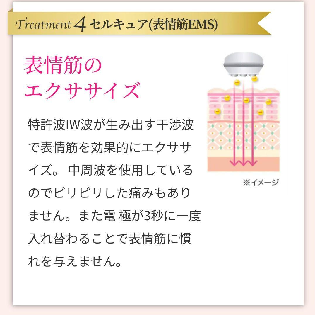 年末セール　18万↘半額以下クリスマスプレゼント美顔器 セルキュア4T PLUS